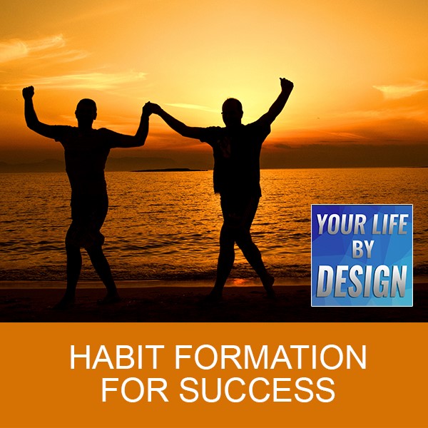 Habit Formation for Success